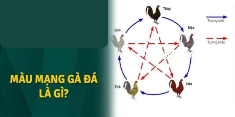 80 màu mạng sử dụng trong kê chiến