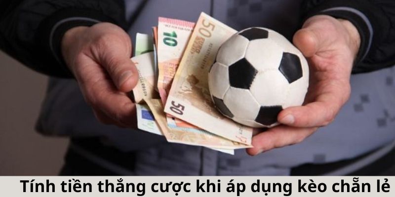 Tỷ lệ thắng của kèo chẵn lẻ là gì?