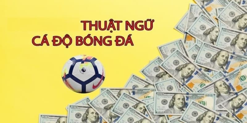 Thuật ngữ cá cược đá banh có ý nghĩa cực quan trọng đối với bet thủ